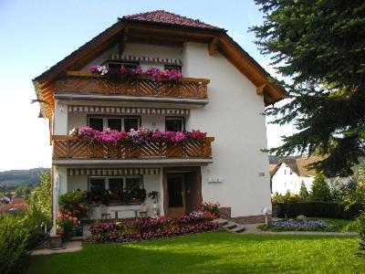 Villa Bellevue Waldkappel Dış mekan fotoğraf