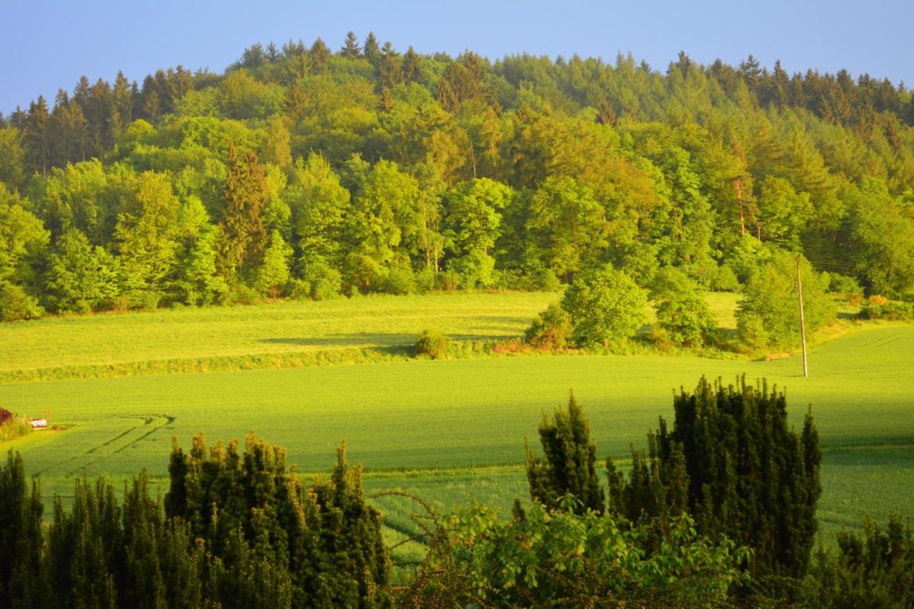 Villa Bellevue Waldkappel Dış mekan fotoğraf